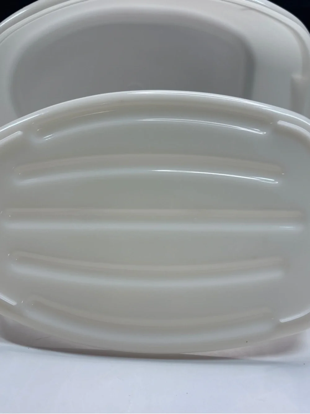 TUPPERWARE Turkey Ham Chicken Roast Flavor Saver Keeper #487-3